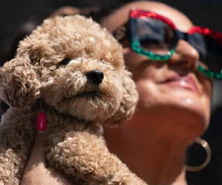 Coco is NOT a stuffed animal
